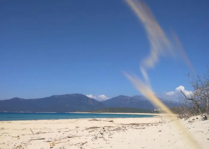 T4 A Campomoro Corse Du Sud, 800m Villa Belvedere-Campomoro