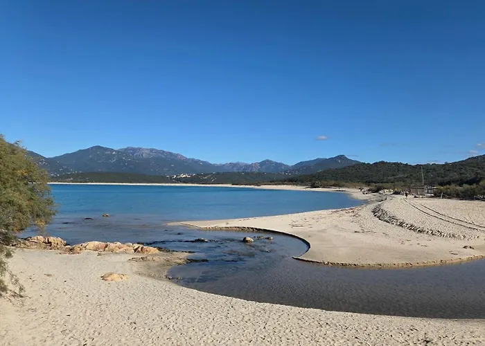 T4 A Campomoro Corse Du Sud, 800m Villa *